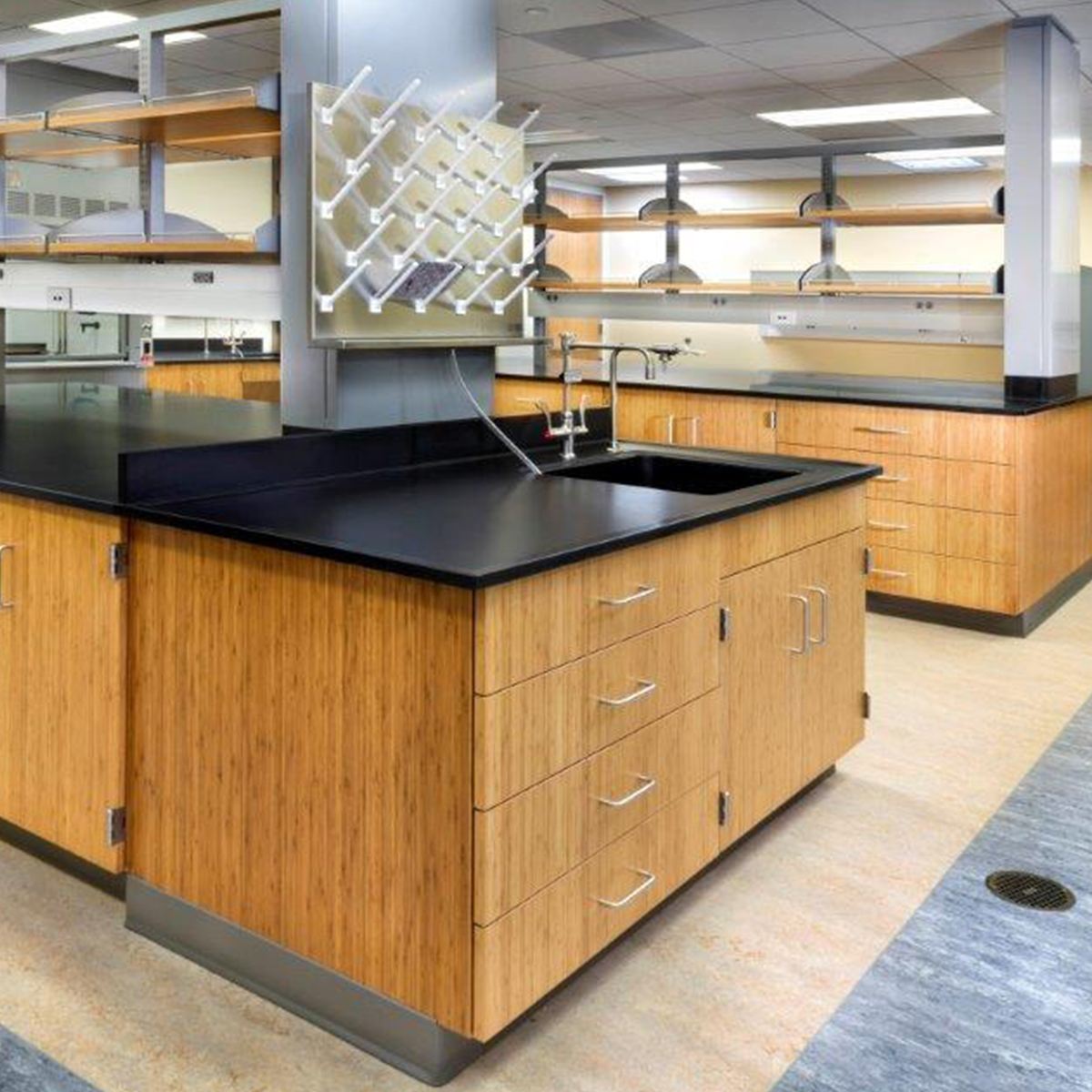 Diversified Casework | Laboratory Solutions